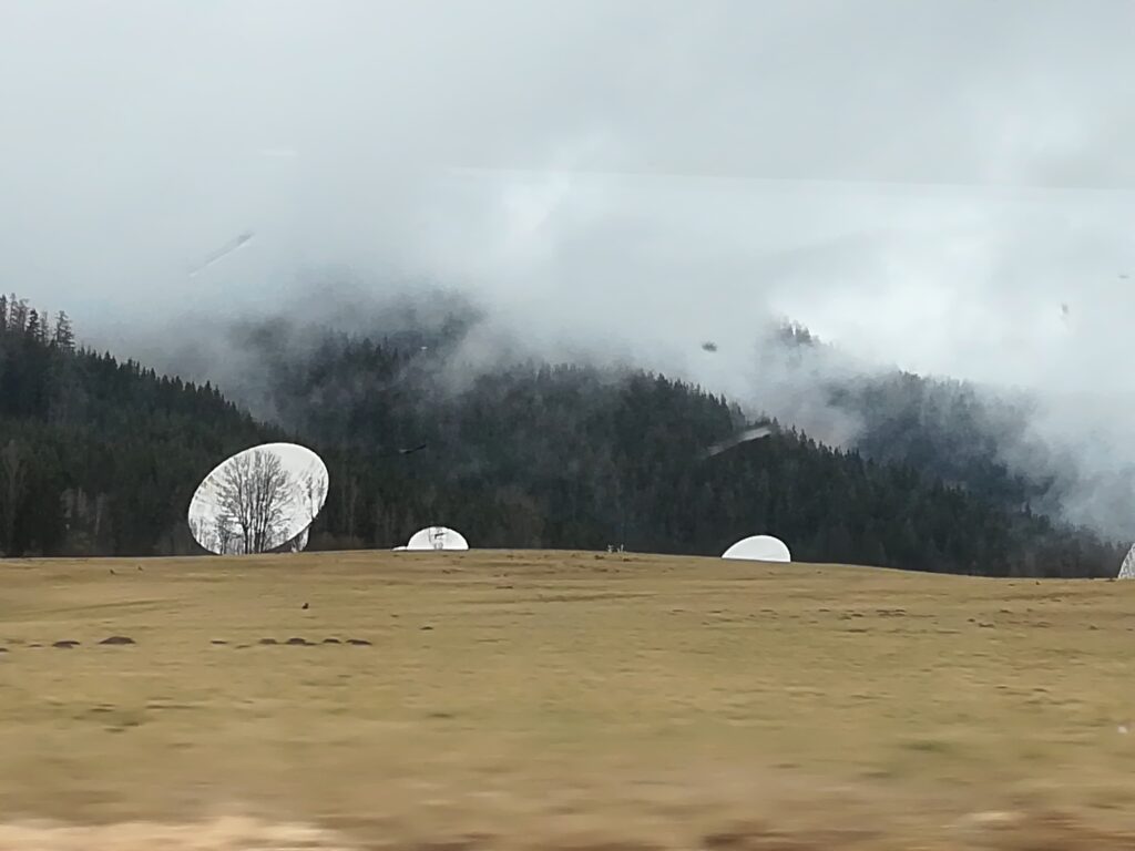 Weiße Riesenschüsseln auf der Weide.