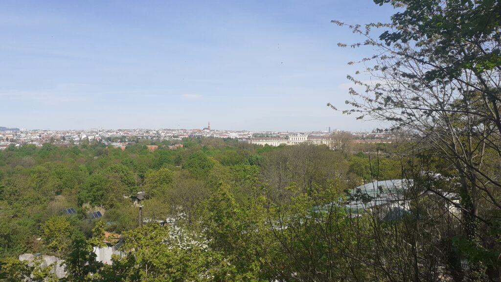 Ein wunderschöner Ausblick über die Stadt und Natur.