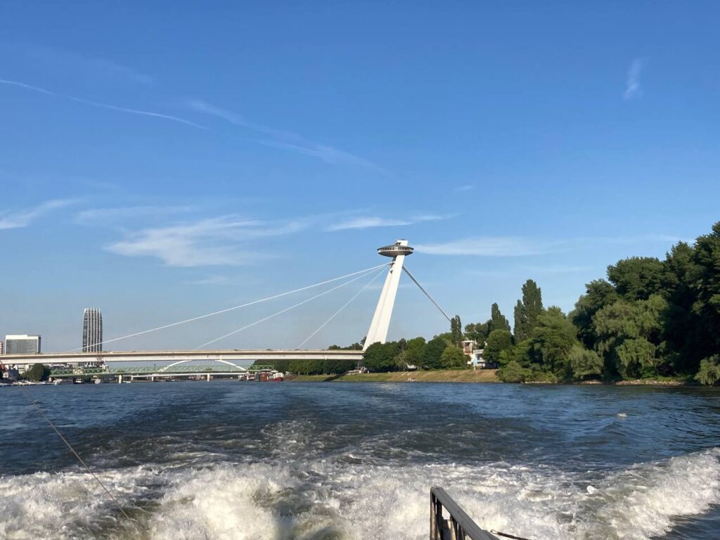 Der Blick vom Schiff auf die Donau.