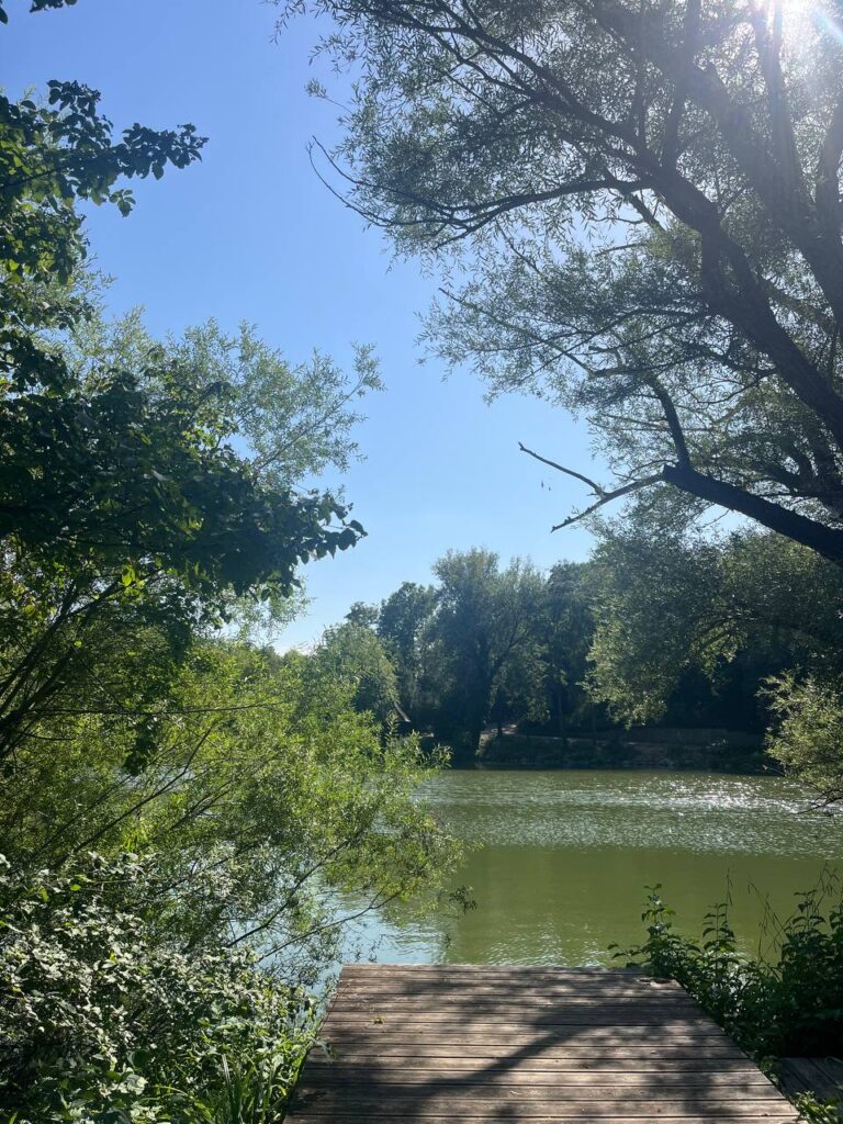 Ein Ausblick auf das Wasser im Kurpark Oberlaa.