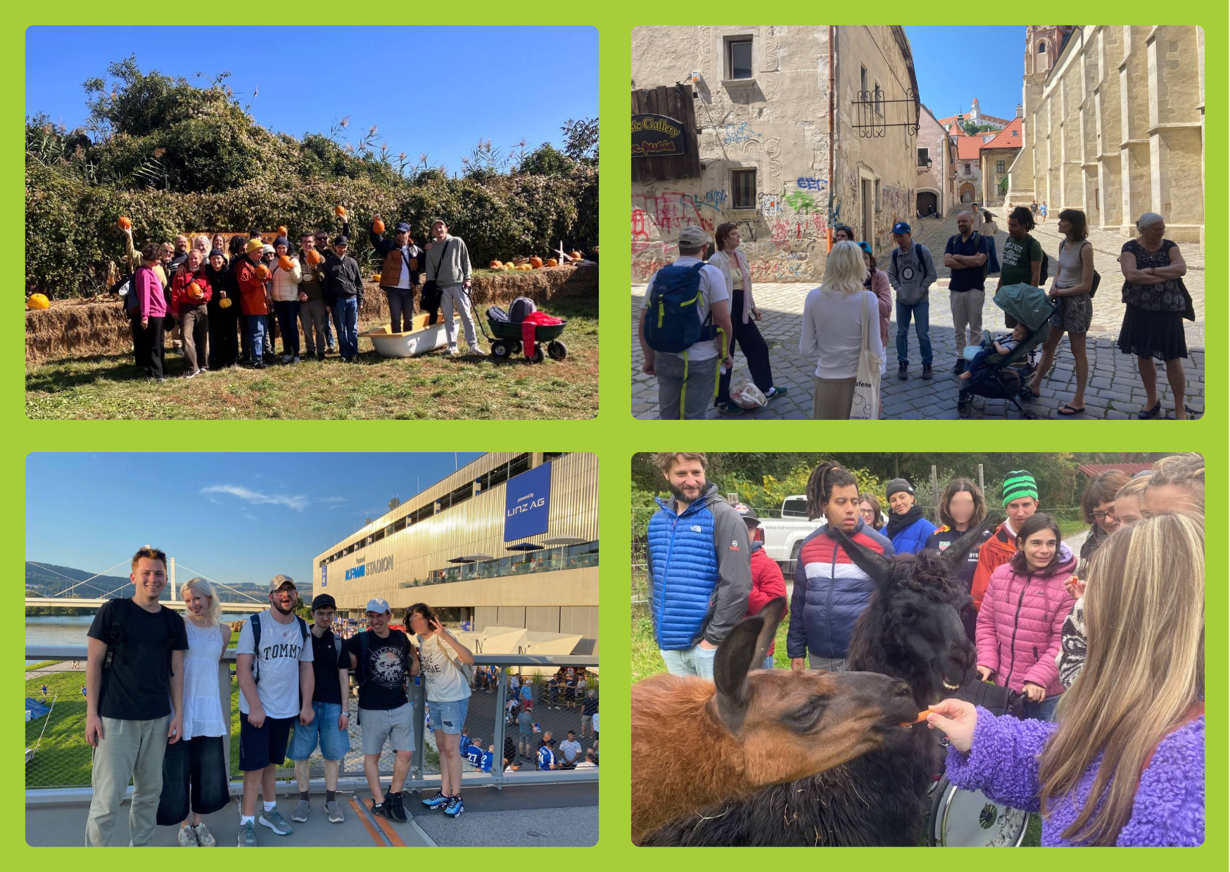 Auf dem Bild sind vier Fotos von den verschiedenen Ausflügen.