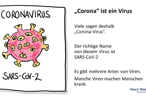 Erklarung Coronavirus Von Petra Plicka