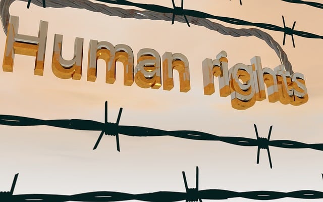 Schriftzug „Human rights“ hinter Stacheldraht als Symbol für Barrieren, Ausgrenzung und eingeschränkte Rechte.