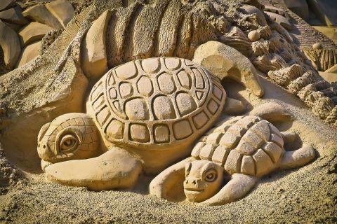 Eine große und eine kleine Schildkröte, die aus Sand gebaut sind. Es sind zwei Sandskulpturen.